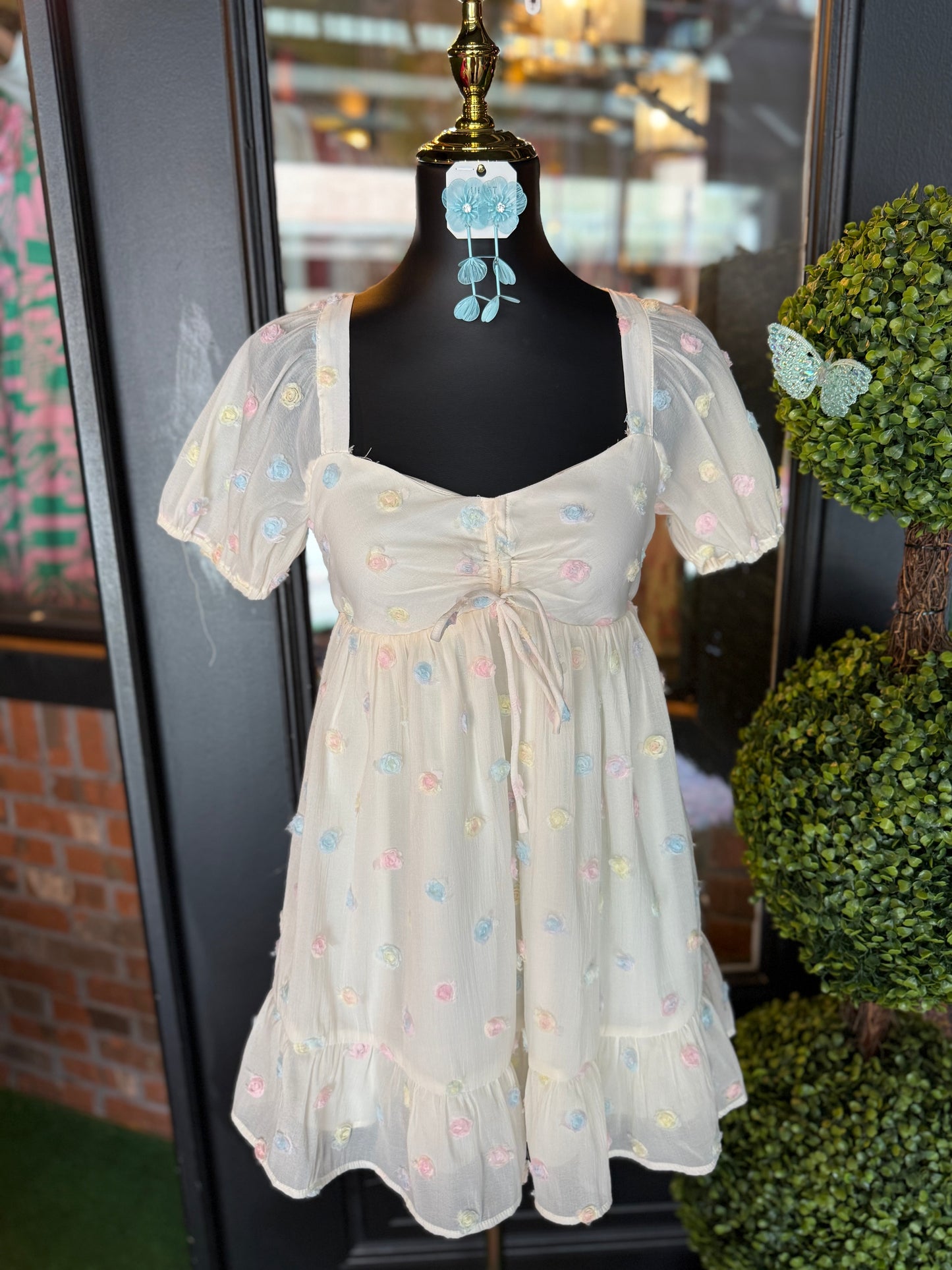 Ivory Rose Embellished Organza Mini Dress