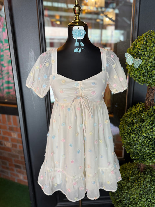Ivory Rose Embellished Organza Mini Dress