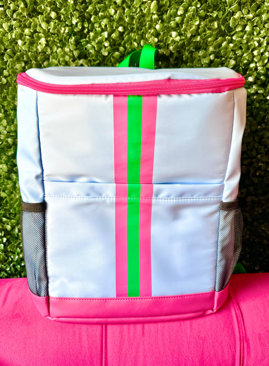 Light Blue & ColorBlock-Accent Cooler Backpack