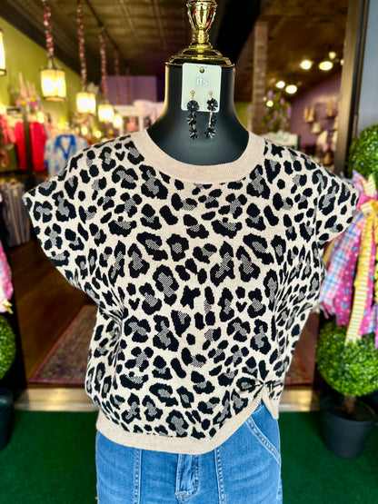 Wildly Chic Sweater
