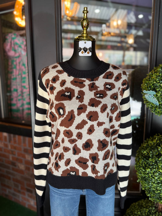 Leopard & Stripe Mixed Sweater