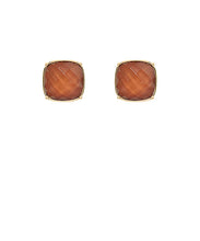 Load image into Gallery viewer, Fall Stone Square Studs
