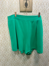 Load image into Gallery viewer, Emerald Shorts

